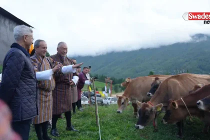 india-bhutan-relation-gifts-43-jersey-cows/