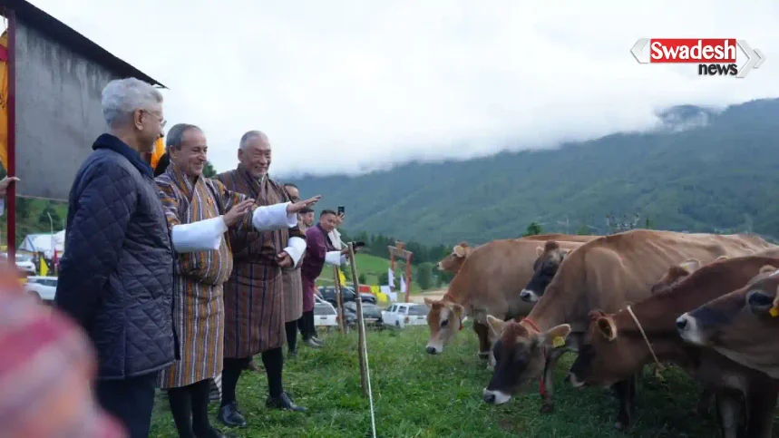 india-bhutan-relation-gifts-43-jersey-cows/