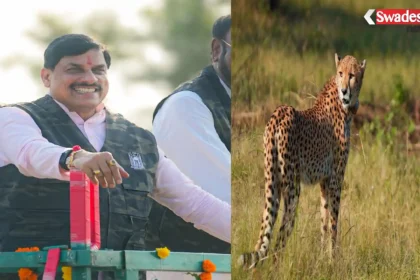 Gandhi Sagar Wildlife Sanctuary