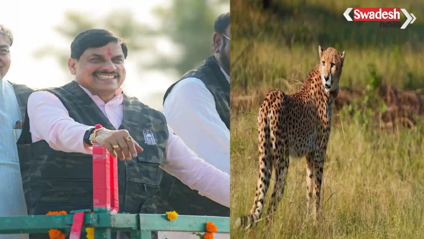 Gandhi Sagar Wildlife Sanctuary