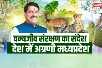 Madhya Pradesh Wildlife Conservation