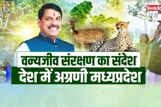 Madhya Pradesh Wildlife Conservation
