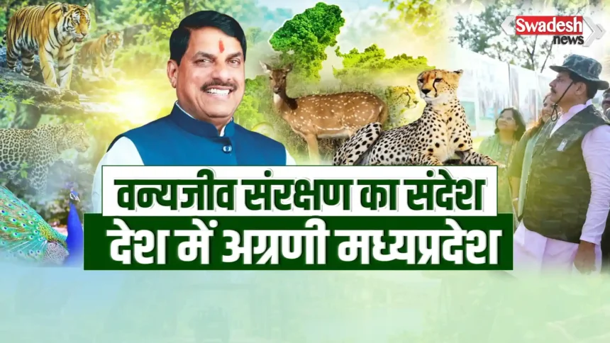 Madhya Pradesh Wildlife Conservation