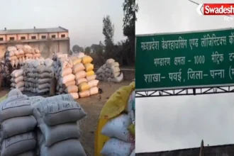 Pawai Paddy Storage Scam