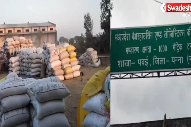 Pawai Paddy Storage Scam