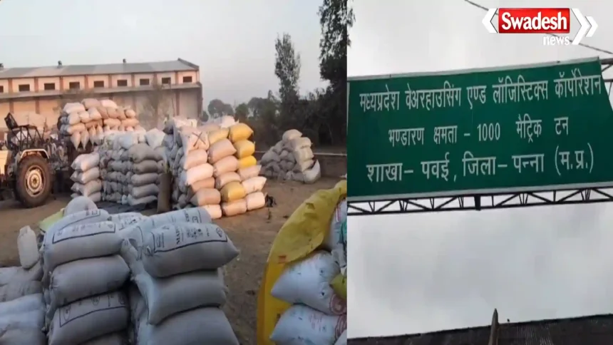 Pawai Paddy Storage Scam
