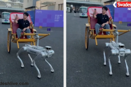 Robot Dog Viral Video
