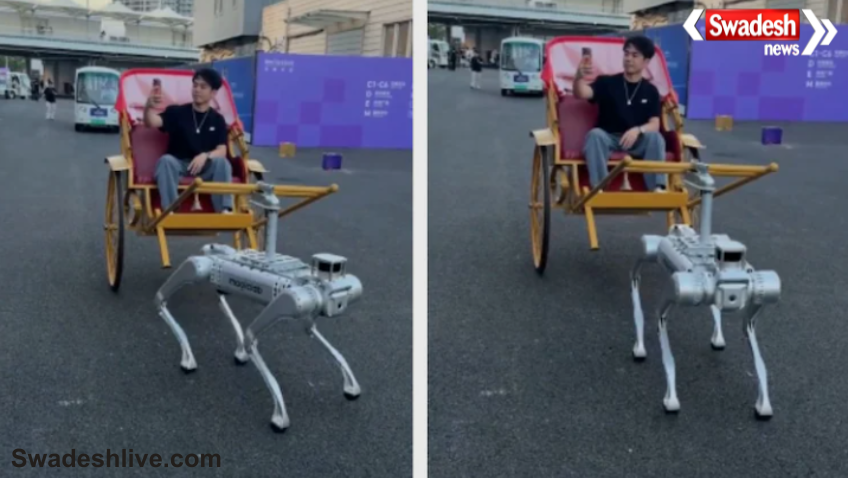 Robot Dog Viral Video
