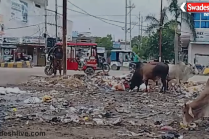 Dabra Cleanliness