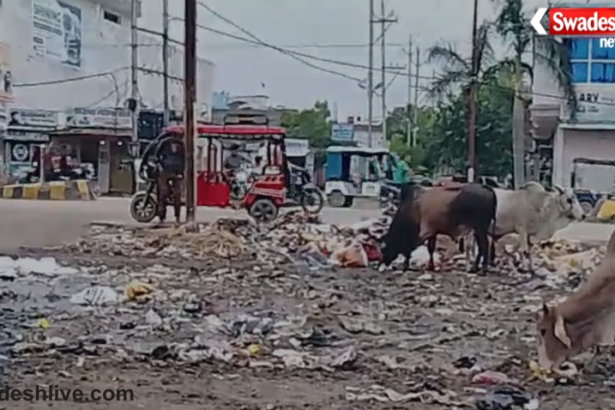 Dabra Cleanliness