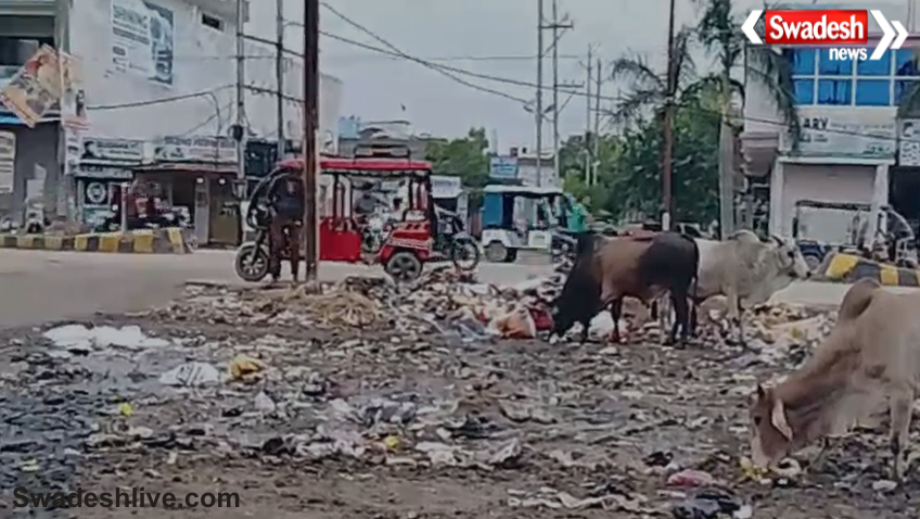 Dabra Cleanliness