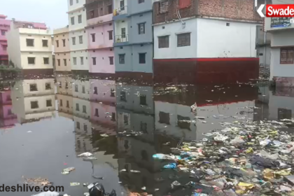 Ara Flood