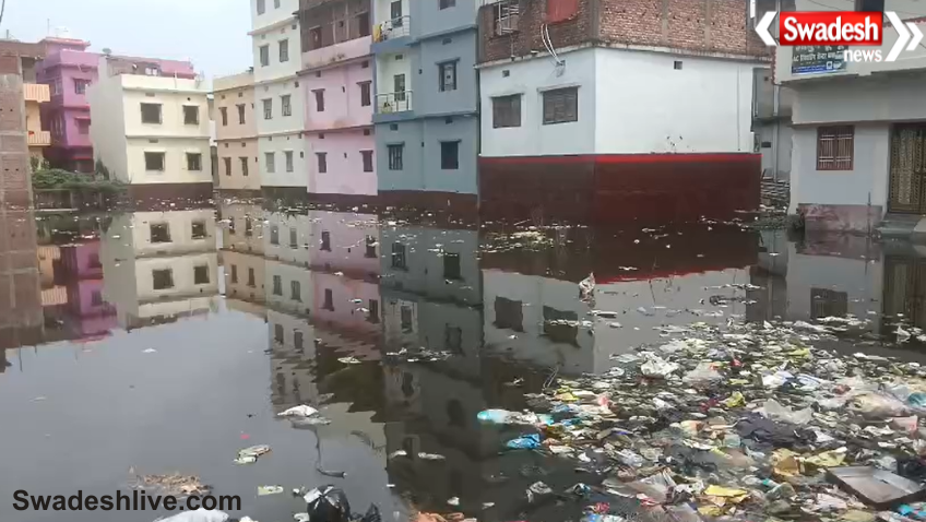 Ara Flood