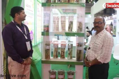 Sugarcane New Varieties