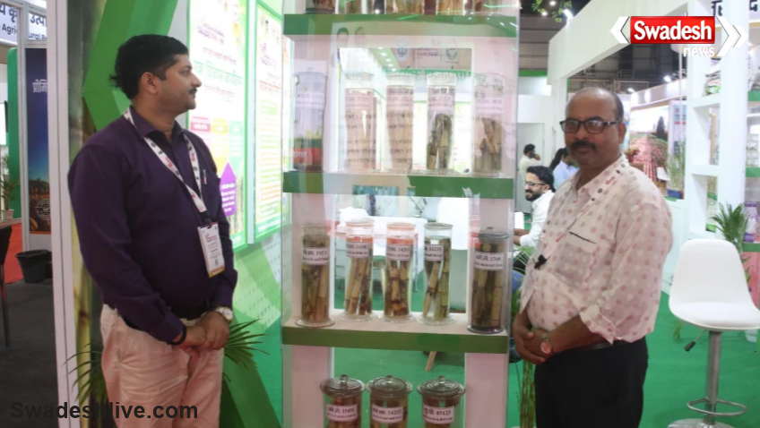 Sugarcane New Varieties