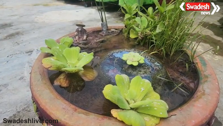 Vidisha Terrace Garden