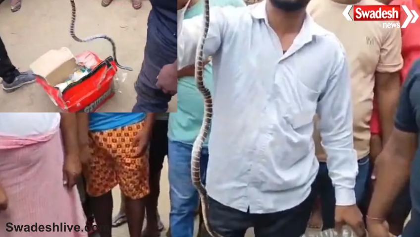 Snake Bite