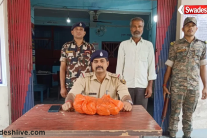 Ghodasahan News