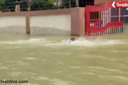 Bihar Flood