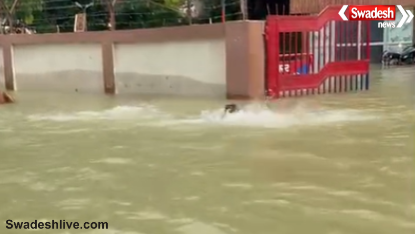 Bihar Flood