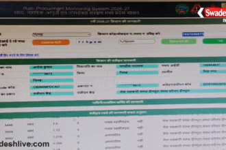 Procurement Scam