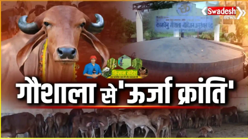 kheti-pashupalan-gramin-arthvyavastha-khas-report-swadesh-news