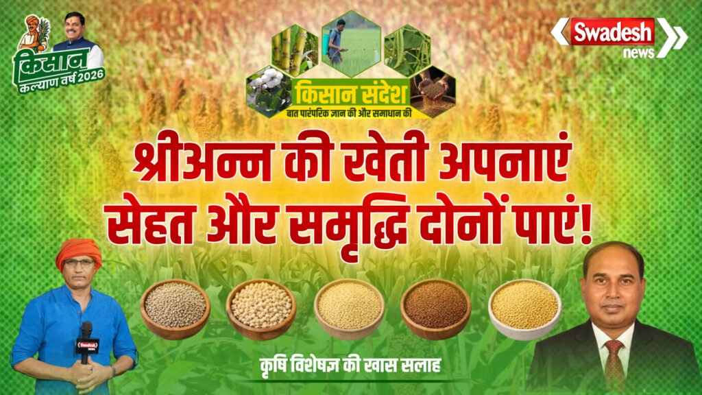 Millets Farming Guide