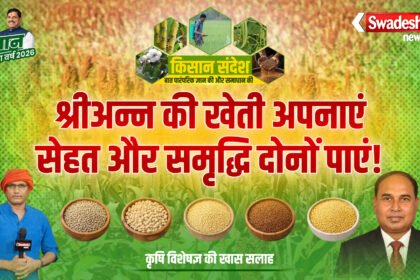 Millets Farming Guide