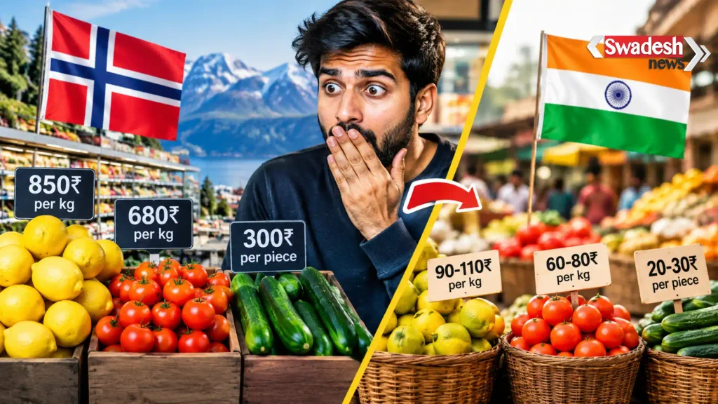 norway-vegetable-prices-india-comparison/