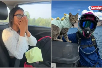 khabar-hatke-rider-noni-cat-hukum-death/