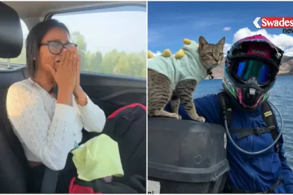 khabar-hatke-rider-noni-cat-hukum-death/