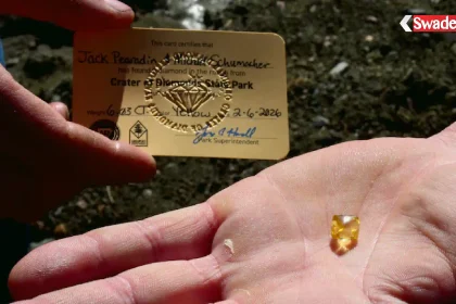 /khabar-hatke-6-03-carat-yellow-diamond-arkansas-state-park-jack-pierardine/