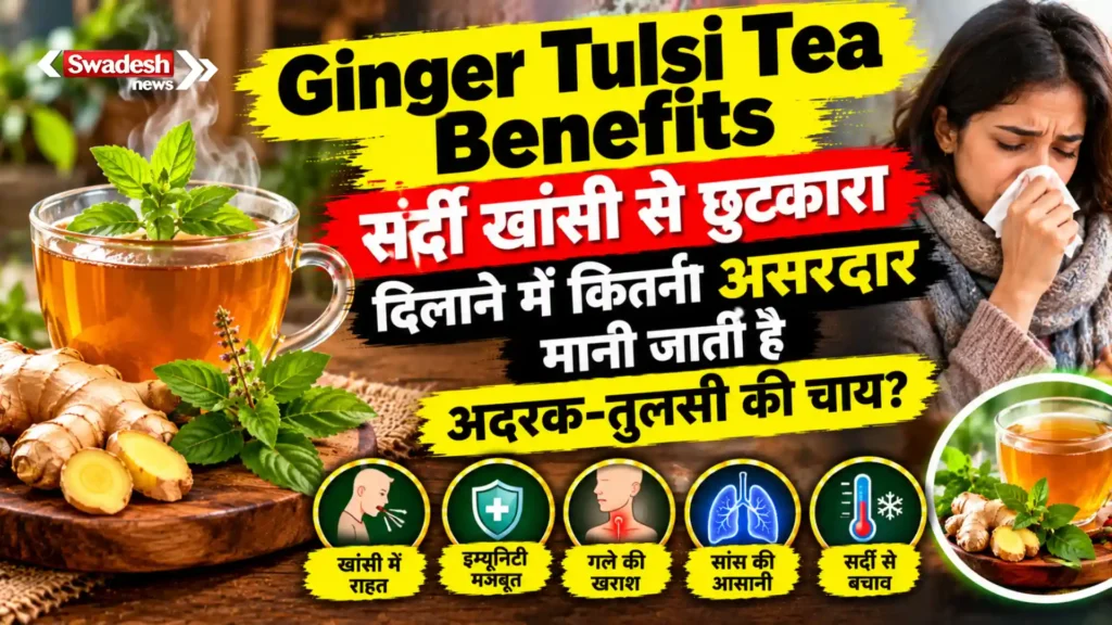 Ginger Tulsi Tea Benefits : सर्दी खांसी से छुटकारा दिलाने में कितनी असरदार मानी जाती है अदरक-तुलसी की चाय?