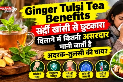 Ginger Tulsi Tea Benefits : सर्दी खांसी से छुटकारा दिलाने में कितनी असरदार मानी जाती है अदरक-तुलसी की चाय?