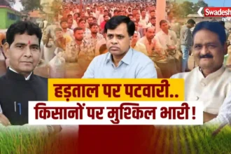 PV App Crop Verification