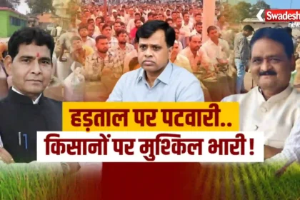 PV App Crop Verification