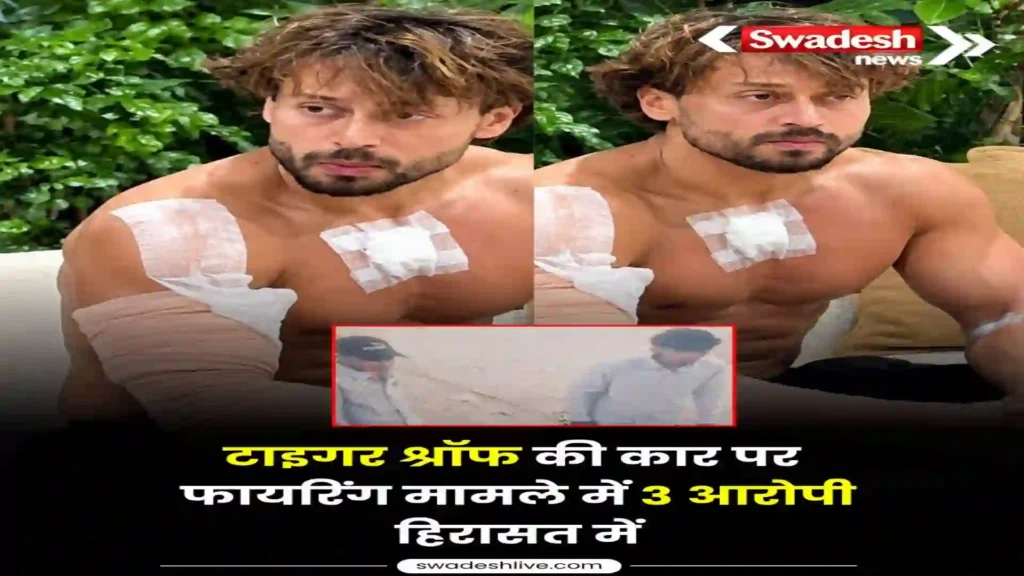 https://swadeshlive.com/tiger-shroff-income-sources/