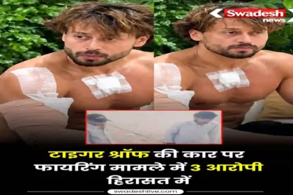 https://swadeshlive.com/tiger-shroff-income-sources/