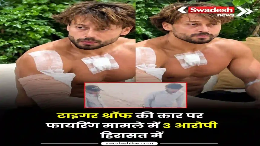 https://swadeshlive.com/tiger-shroff-income-sources/