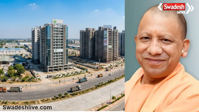 UP Building Bylaws