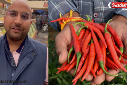 Red Chili Business