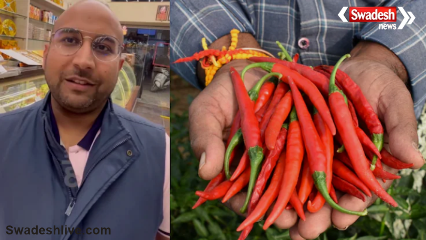 Red Chili Business