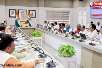 Yogi Cabinet
