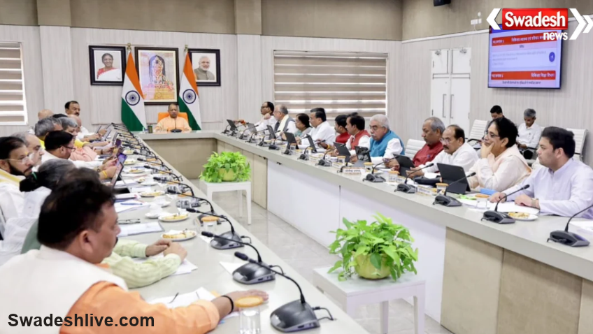 Yogi Cabinet