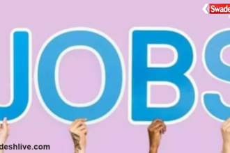 Darbhanga Job Camp