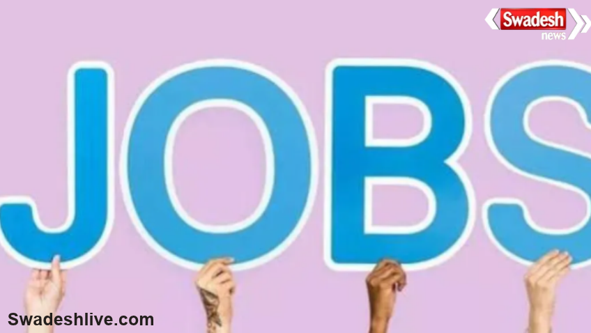 Darbhanga Job Camp