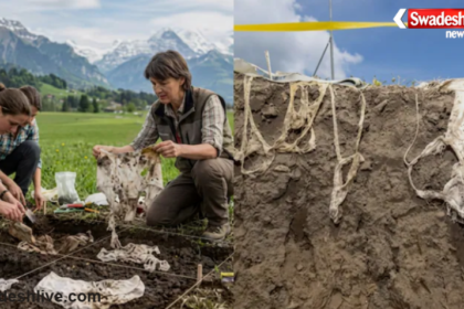 Switzerland Underwear Soil Test