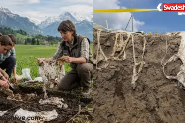 Switzerland Underwear Soil Test
