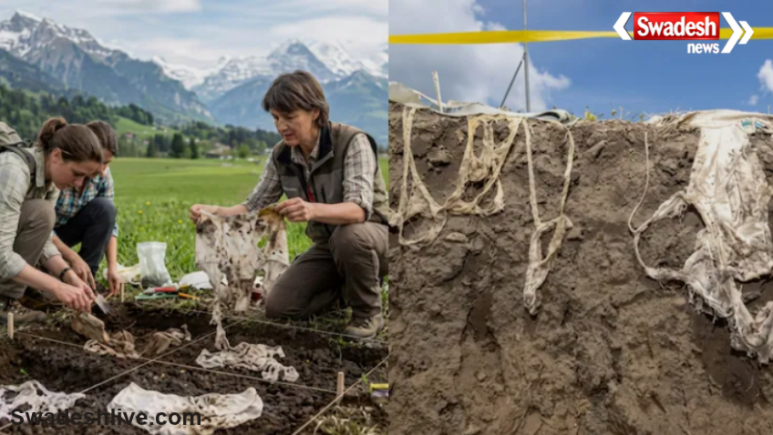 Switzerland Underwear Soil Test
