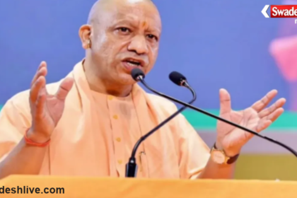 UP Government Job Verification Rules